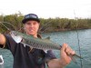 Jay is running hot at the moment, a creek caught spanish on a live small mullet